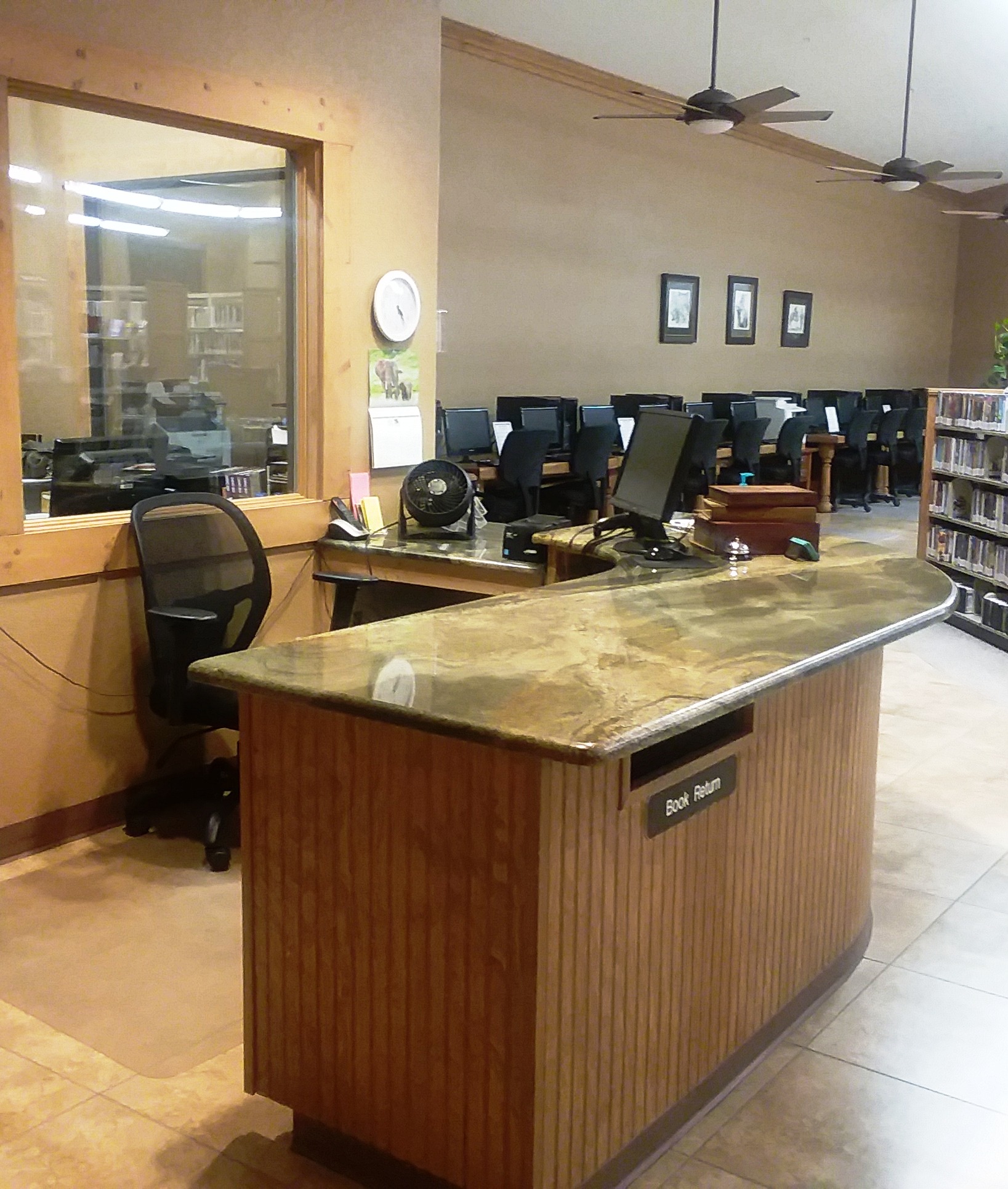 Public Information Carnegie Public Libraries